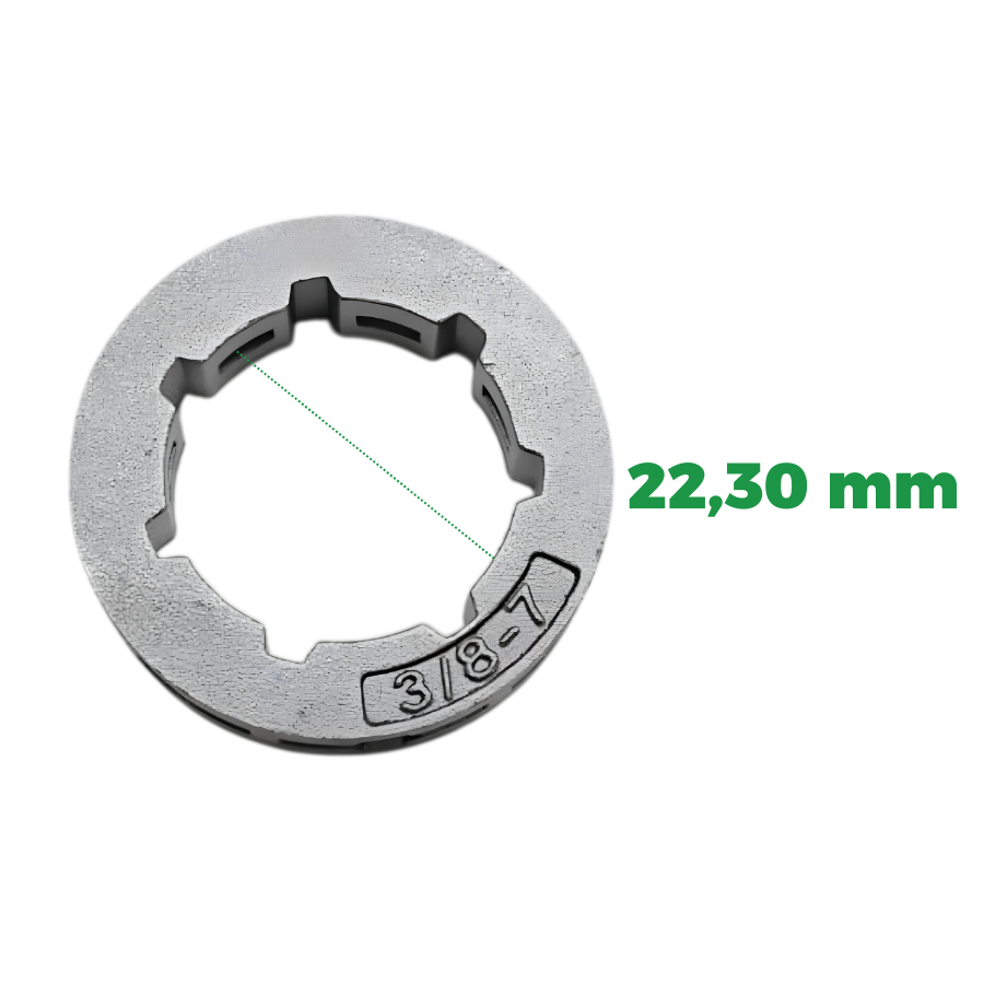 038223001_SITE (1)
